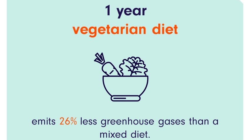 The infographic shows the comparison of GHG emissions of one year vegetarian diet and one flight. The savings of 440 kg CO2 eq. are cancelled out by a round-trip flight from Frankfurt to London. 